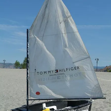 Temesa